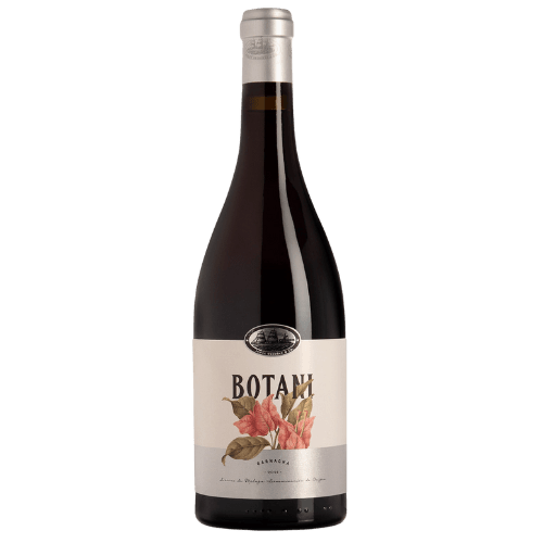 JORGE ORDONEZ MALAGA 21 BOTANI TINTO GARNACHA 